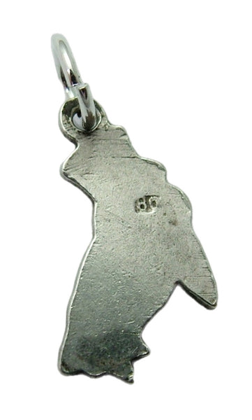 Vintage 1950's Silver & Enamel Cartoon Crow with Top Hat Charm Enamel Charm - Sandy's Vintage Charms