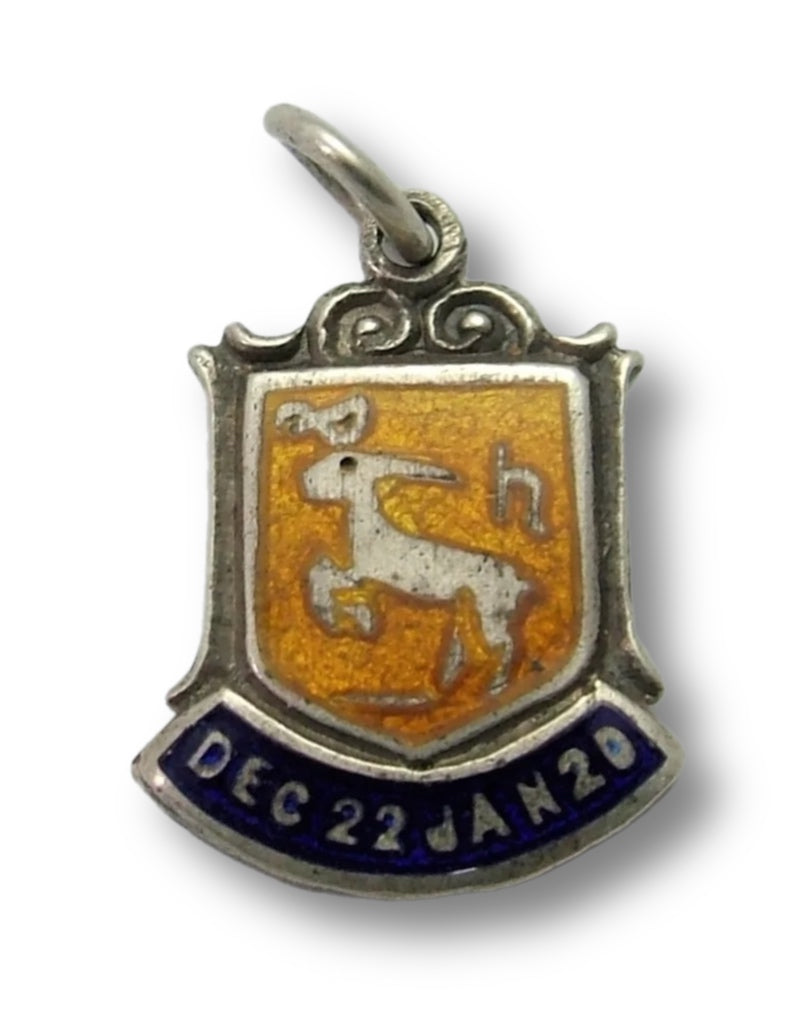 Vintage 1960's Silver & Enamel Shield Charm for the ZODIAC Sign of CAPRICORN (Design B) Shield Charm - Sandy's Vintage Charms