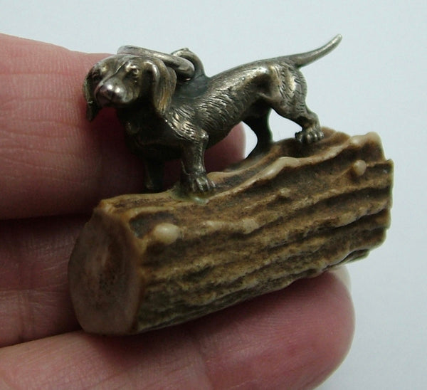 Large Antique Edwardian c1910 Solid Silver Dachshund Charm Mounted on Antler Antique Charm - Sandy's Vintage Charms
