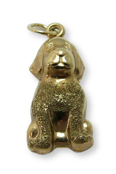 Modern Secondhand 9ct Gold Hollow Dog Charm HM 2004 Gold Charm - Sandy's Vintage Charms