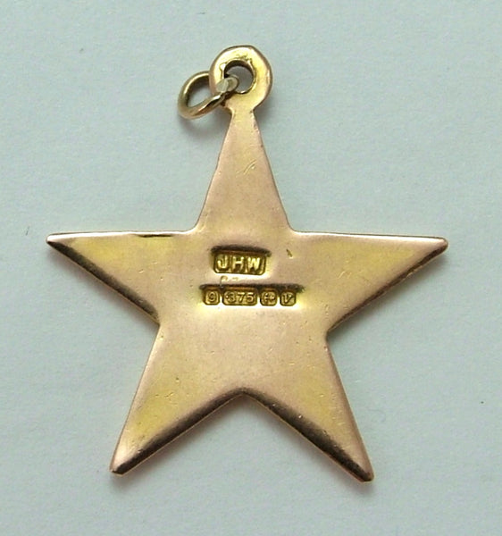 Vintage 1970's Solid 9ct Gold & Enamel Masonic Order of the Eastern Star Pendant/Charm Gold Charm - Sandy's Vintage Charms